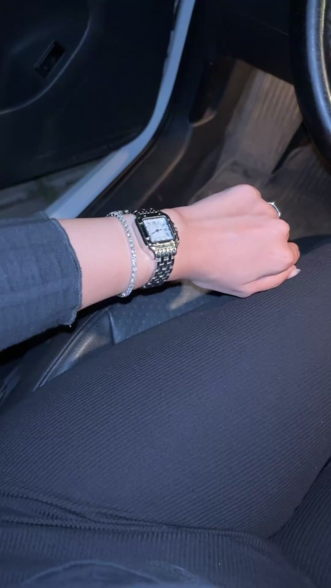 Panthère Crystal Silver